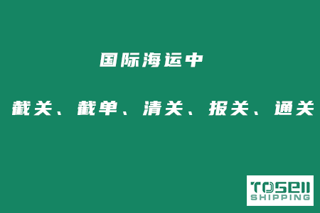 国际海运中的截关、截单、清关、报关、通关是什么意思？